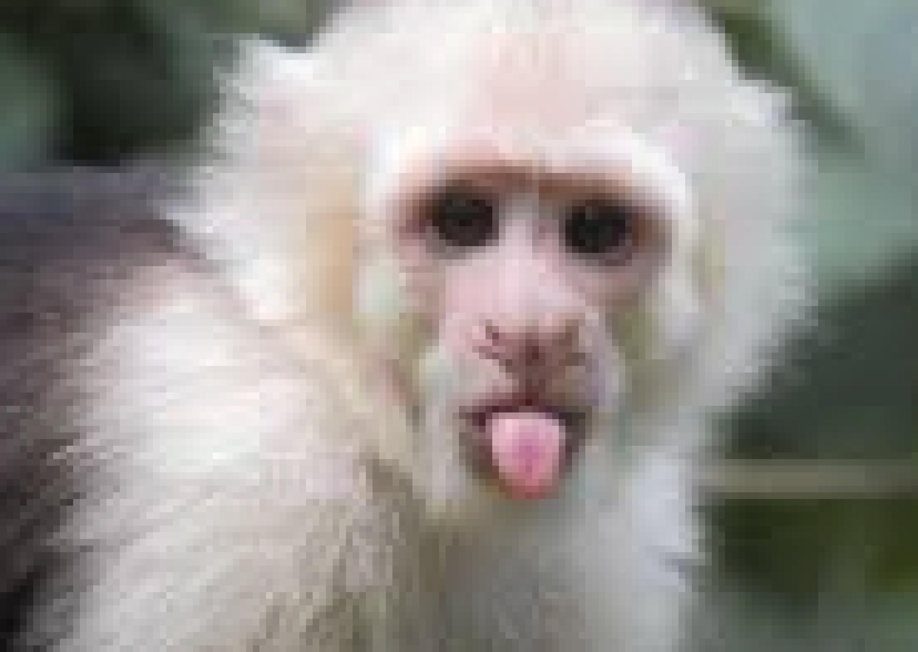 Talisa_lay cover photo